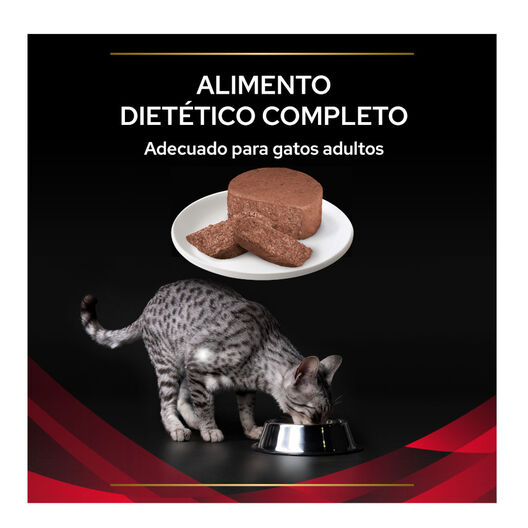 Lata Purina Veterinary Diets Feline DM Diabetes 195 gr image number null
